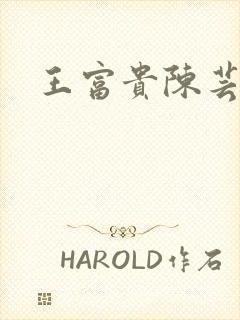 王富贵陈芸小说