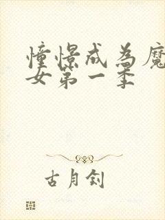 憧憬成为魔法少女第一季