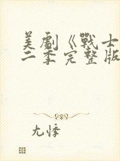 美剧《战士》第二季完整版在线观看