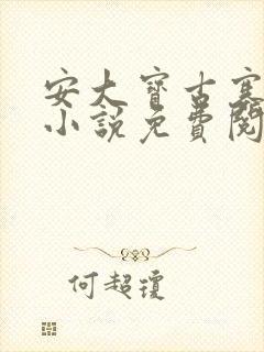 安大宝古寨情缘小说免费阅读