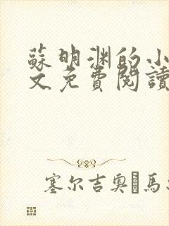 苏明渊的小说全文免费阅读无弹窗封面