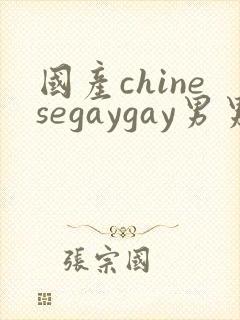 国产chinesegaygay男男网站封面