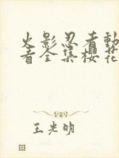 火影忍者动漫观看全集樱花动漫9.1封面