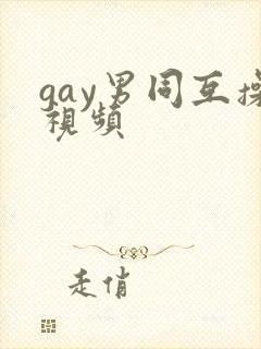 gay男同互操视频封面