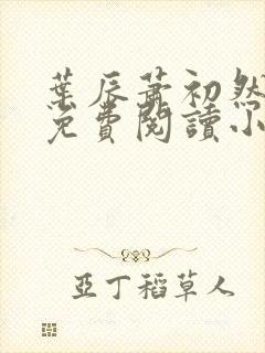 叶辰萧初然全文免费阅读小说