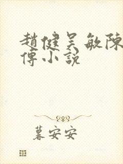 赵健吴敏陈娜前传小说封面