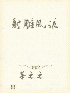 射雕风流封面