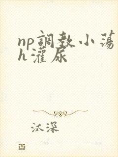 np调教小荡货h灌尿