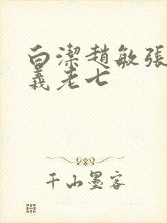 白洁赵敏张倩高义老七