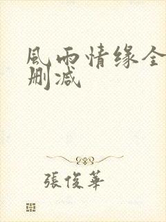 风雨情缘全文无删减
