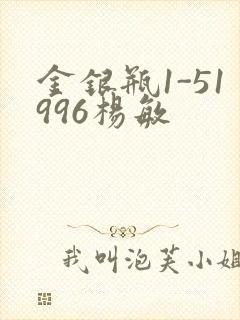 金银瓶1-51996杨敏封面