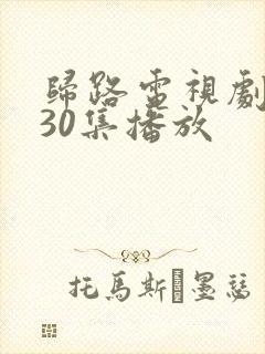 归路电视剧全集30集播放封面