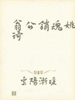 翁公销魂姚瑶琦琦封面