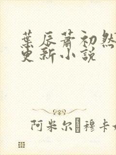 叶辰萧初然最快更新小说