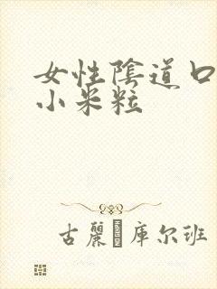 女性阴道口部长小米粒