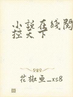 小说在线阅读神控天下封面