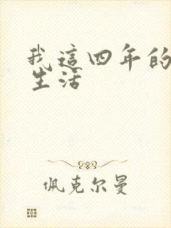 我这四年的奴隶生活封面