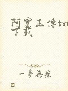 阿宾正传txt下载封面