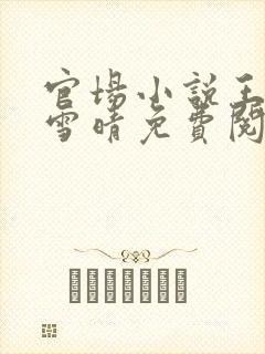 官场小说王洋孙雪晴免费阅读