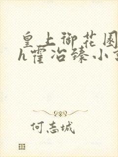 皇上御花园hlh霍冶臻小说