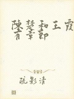 陈楚和王霞的所有章节