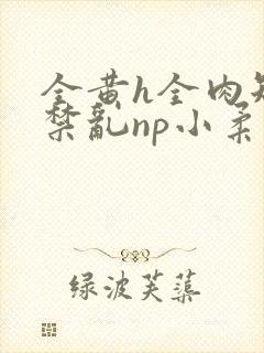 全黄h全肉短篇禁乱np小柔