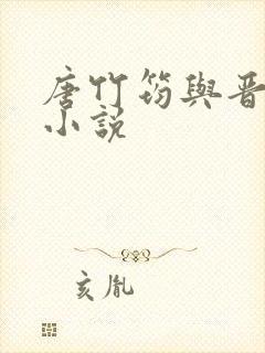 唐竹筠与晋王的小说封面