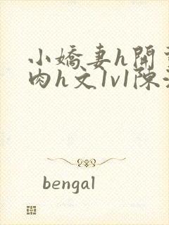 小娇妻h开荤粗肉h文1v1陈浩