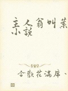 主人翁叫叶尘的小说