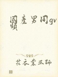 国产男同gv视频