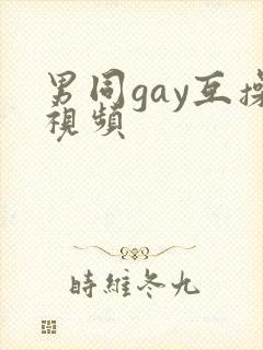 男同gay互操视频