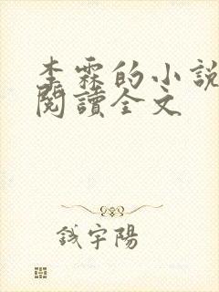 李霖的小说免费阅读全文