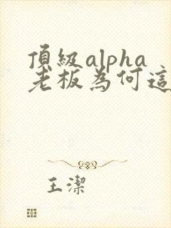 顶级alpha老板为何这样笔趣阁封面