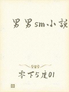 男男sm小说封面