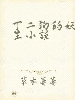 丁二狗的妖孽人生小说封面