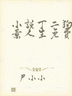 小说丁二狗的肆意人生免费阅读