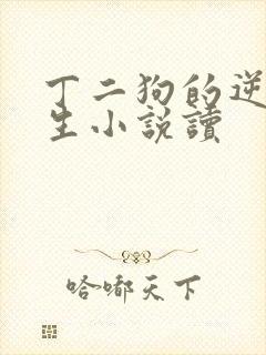 丁二狗的逆袭人生小说读