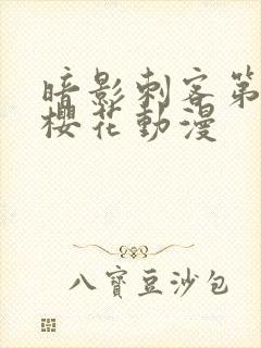 暗影刺客第三季樱花动漫