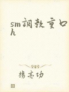 sm调教重口高h