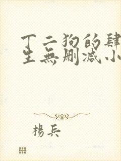 丁二狗的肆意人生无删减小说免费