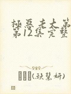 极恶老大第2季第12集完整版