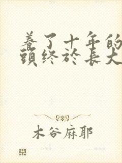 养了十年的小丫头终于长大了