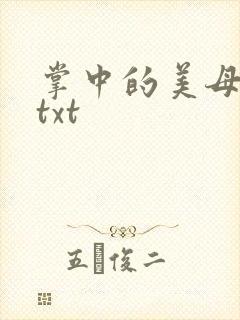 掌中的美母版主txt封面