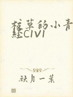 校草的小青梅不经C1V1