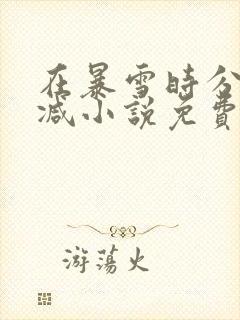 在暴雪时分未删减小说免费阅读