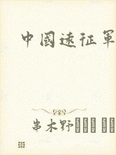 中国远征军小说