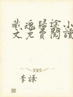 藏魂归途小说全文免费阅读最新章节