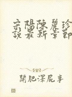 宋阳陈丽珍的小说最新章节免费阅读无弹窗封面