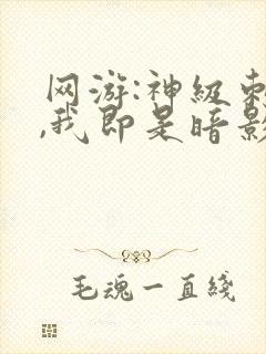 网游:神级刺客,我即是暗影txt