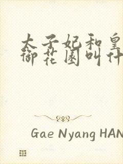 太子妃和皇帝在御花园叫什么小说